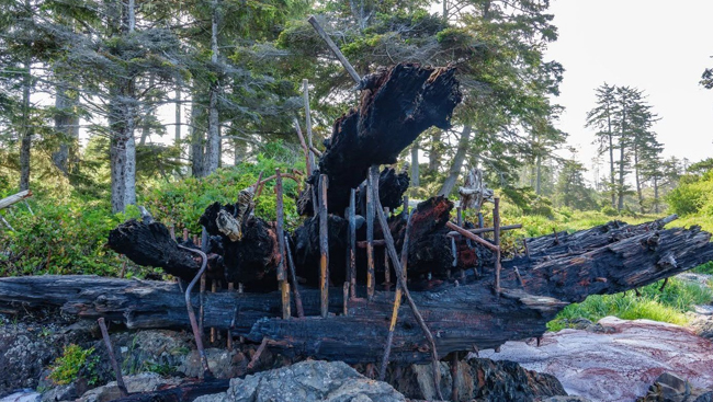 128-year-old shipwreck on Vancouver Island charred by fire